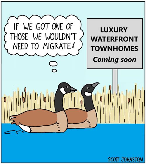 "If we got one of those we wouldn't need to migrate!"