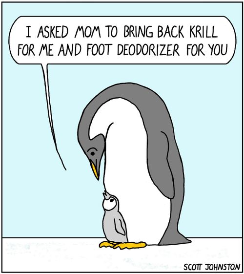 "I asked mom to bring back krill for me and foot deodorizer for you."