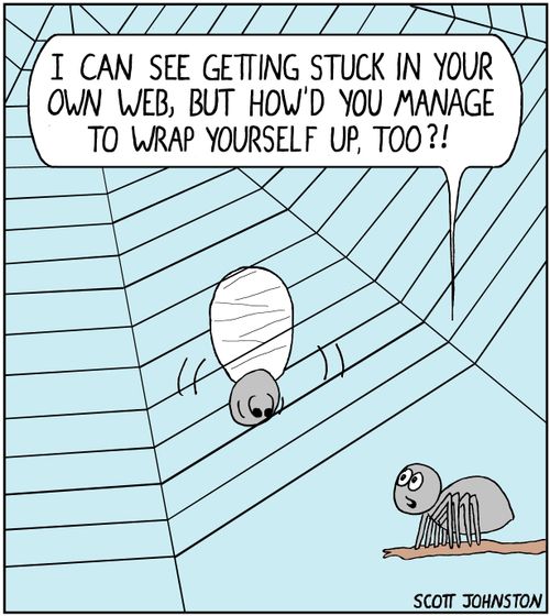 "I can see getting stuck in your own web, but how'd you manage to wrap yourself up, too?!"