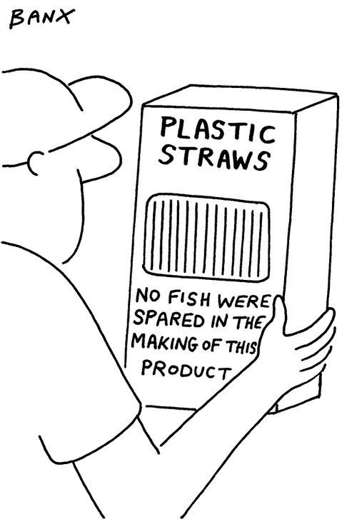 "Plastic straws. No fish were spared in the making of this product."