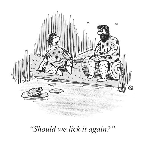 "Should we lick it again?" CX930226