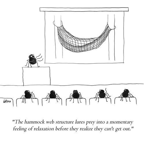 "The hammock web structure lures prey into a momentary feeling of relaxation before they realize they can't get out."