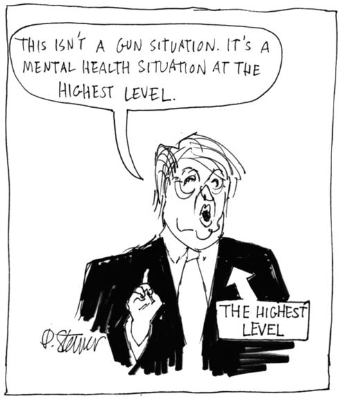 "This isn't a gun situation. It's a mental health situation at the highest level."