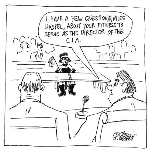 "I have a few questions, Miss Haspel, about your fitness to serve as the director of the C.I.A."