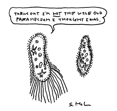"Turns out I'm not the wise old paramecium I thought I was."