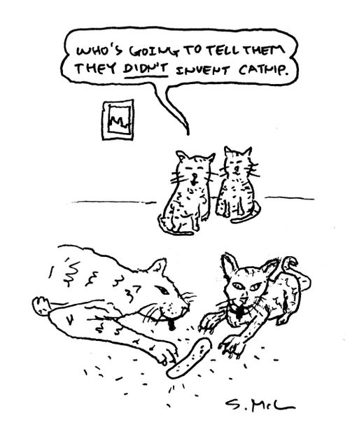 "Who's going to tell them they didn't invent catnip."