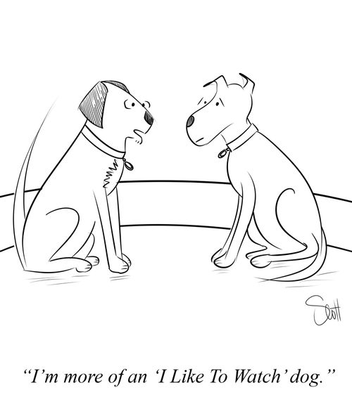 "I'm more of an 'I like to watch' dog."