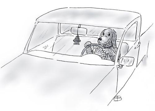 Dog Driving a Truck