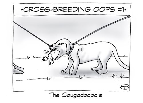 "Cross-breeding oops #1."   "The Cougadooodle"