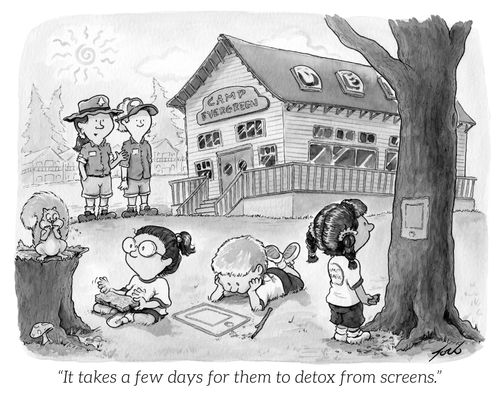 "It takes a few days for them to detox from screens."