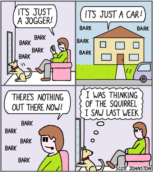 "It's just a jogger!"   "It's just a car!"   "There's nothing out there now!"   "I was thinking of the squirrel I saw last week"