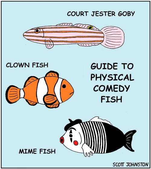 "Guide to physical comedy fish"