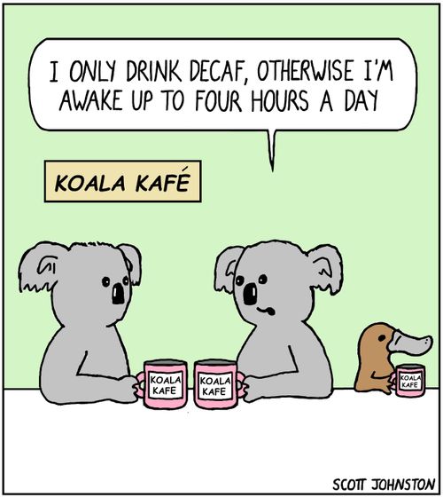 "I only drink decaf, otherwise I'm awake up to four hours a day."