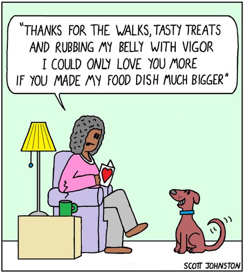 "Thanks for the walks, tasty treats and rubbing my belly with vigor. I could only love you more if you made my food dish much bigger."