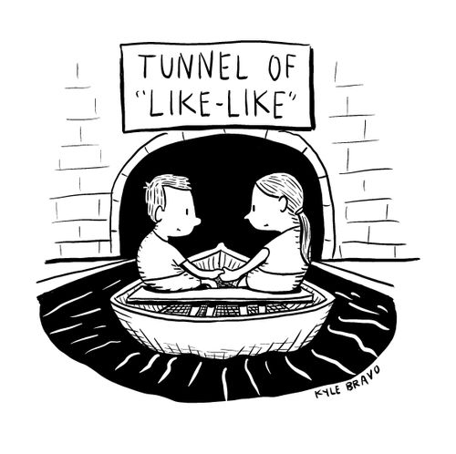 "Tunnel of 'Like-Like'"