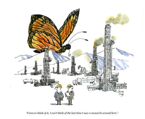 "Come to think of it, I can't think of the last time I saw a monarch around here."