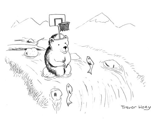 The Salmon Run