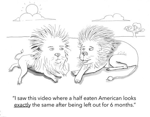 "I saw this video where a half eater American looks exactly the same after being left out for 6 months."