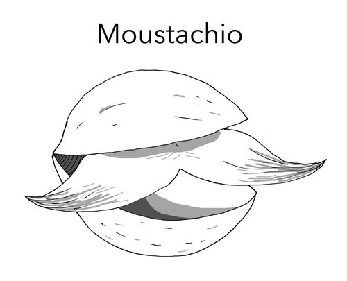 Moustachio