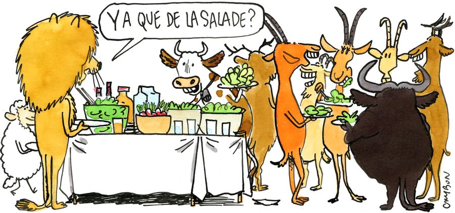 "Y a qué de la salade?"