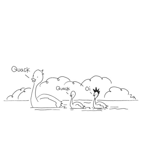 "Quack." "Quack." "Oi."