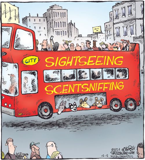 Sightseeing/Scentsniffing