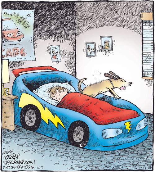 Dog Dreams