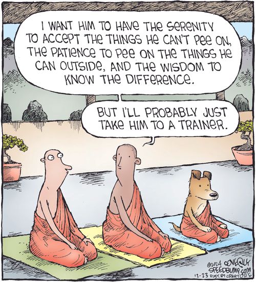 "I want him to have the serenity to accept the things he can't pee on, the patience to pee on the things he can outside, and the wisdom to know the difference."  "But I'll probably just take him to a trainer."