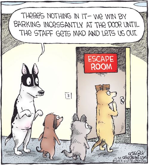 "There's nothing in it—we win by barking incessantly at the door until the staff gets mad and lets us out."