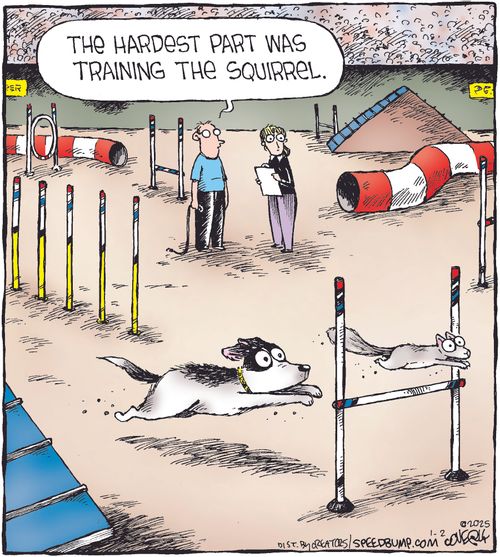 "The hardest part was training the squirrel."