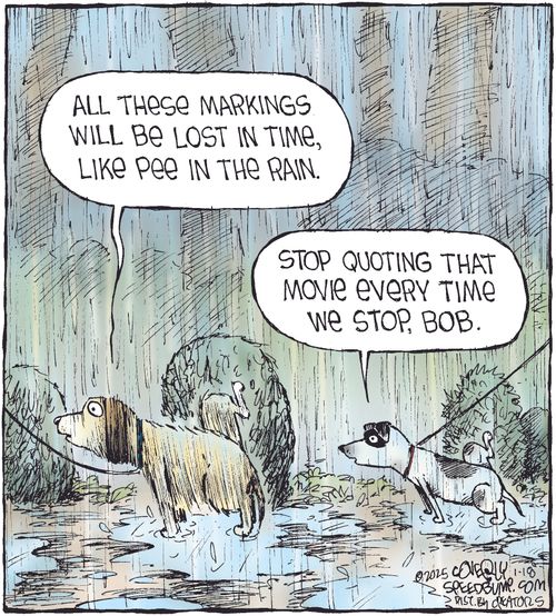 "All these markings will be lost in time, like pee in the rain."  "Stop quoting that movie every time we stop, Bob."