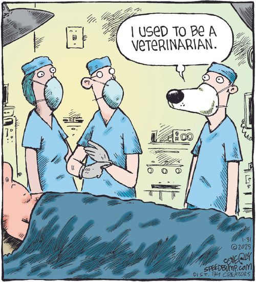 "I used to be a veterinarian."