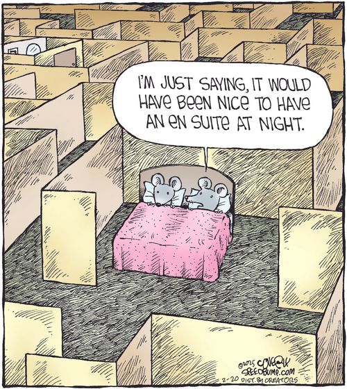 "I'm just saying, it would have been nice to have an en suite at night."