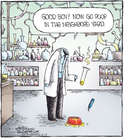 "Good boy! Now go poop in the neighbor's yard."