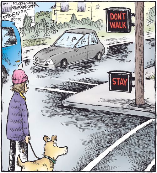 Dog Crossing