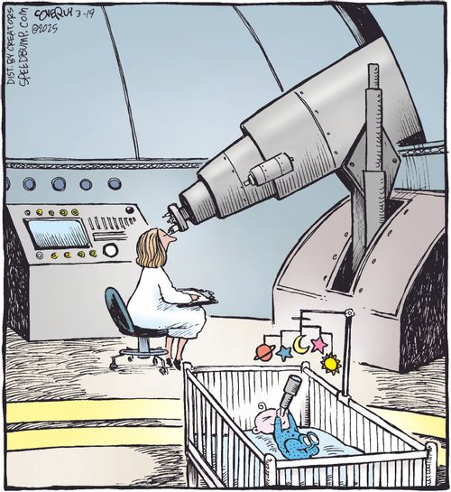 Baby Scientist