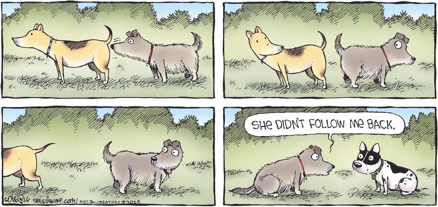 "She didn't follow me back."