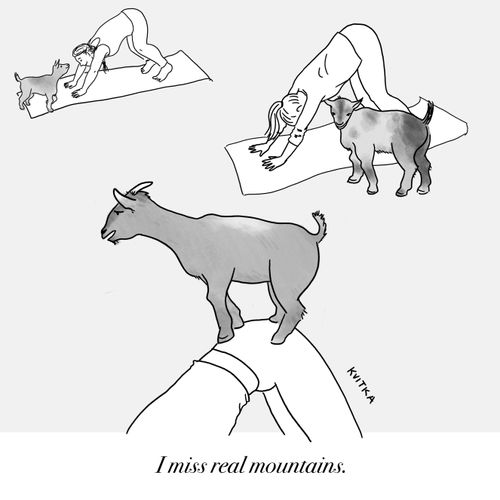 "I miss real mountains."
