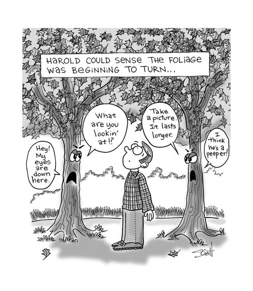 "Harold could sense the foliage was beginning to turn..."