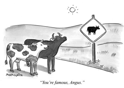 "You're famous, Angus."