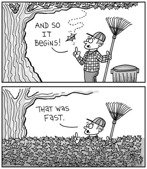 "And so it begins!"