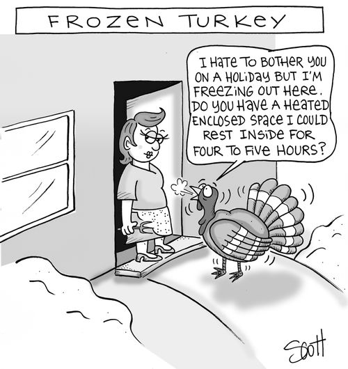 Frozen Turkey: "I hate to bother you on a holiday but I'm freezing out here. Do you have a heated enclosed space I could rest inside for four to five hours?"