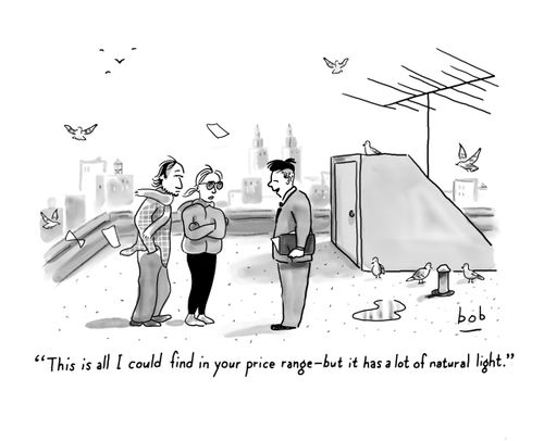 "This is all I could find in your price range - but it has a lot of natural light."