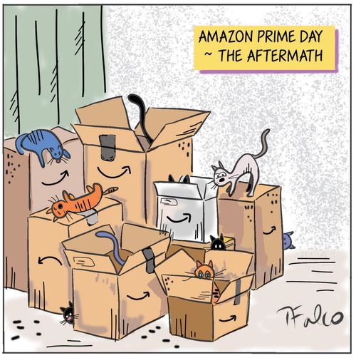 Amazon Prime Day ~ The Aftermath