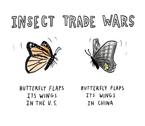 Insect Trade Wars: Butterfly flaps its wings in the U.S./Butterfly flaps its wings in China