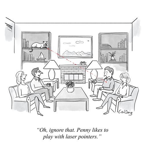 "Oh, ignore that. Penny likes to play with laser pointers."