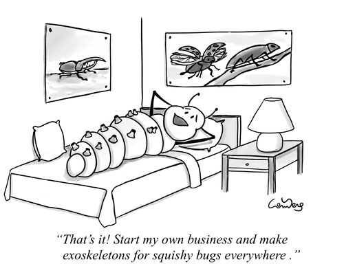 "That’s it! Start my own business and make exoskeletons for squishy bugs everywhere."
