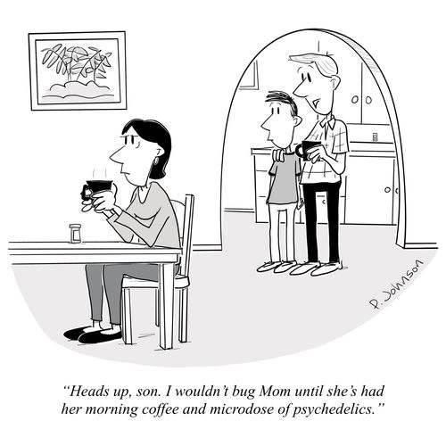 "Heads up, son. I wouldn't bug Mom until she's had her morning coffee and microdose of psychedelics."