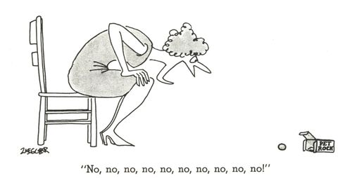 "No, no, no, no, no, no, no!"