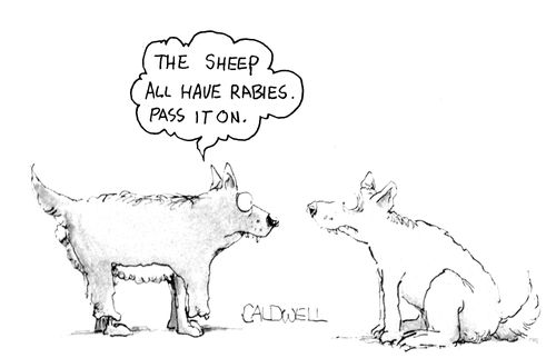 "The sheep all have rabies. Pass it on."
